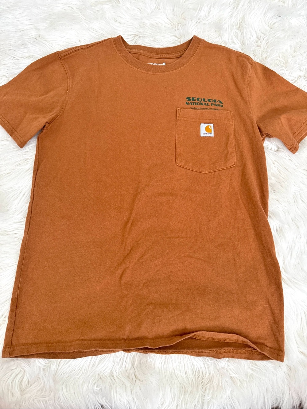 Carhartt Short Sleeve Pocket Tee in Rust with Green Logo